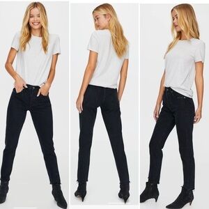 Agolde Jeans Jamie High Rise Classic Jeans in Washed Black Compass 24